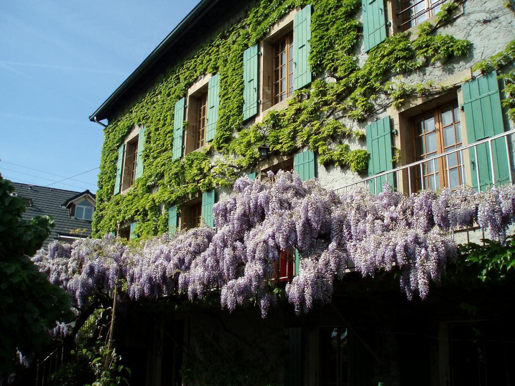 La Maison De Concise (Adults Only) Thonon-les-Bains Exteriör bild